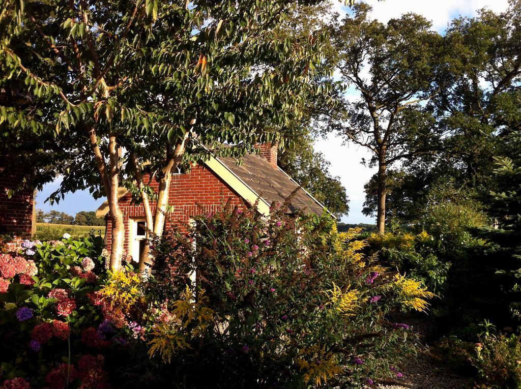 Bed and Breakfast De Bolderie à Markelo Extérieur photo
